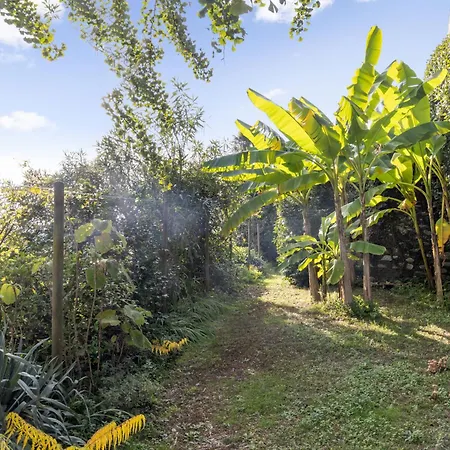 Egner- Apt-steintisch By Interhome Apartment *