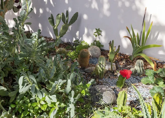 Egner- Apt-steintisch By Interhome شقة